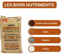ASFASFq-LA PLAINE CHASSART - Terreau Rempotage 20L - Solution Spécifique pour Plantes en Pot - Toutes Les Variétés de Plantes d'Intérieur & Extérieur - Plantes Vertes & Fleuries