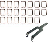 ASFASFq-Lot de 20 Détentes en Acier Cuivré + 1 Clé D¿Armement A Utiliser avec Votre Piège Putange pour Capturer Taupe, Rat Taupier, Campagnol Ou Autres Rongeurs Nuisibles. Tentes ou Tendilles resista