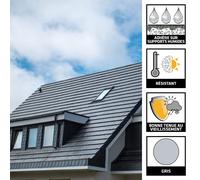 ASFASFq-Mastic et colle butyle 2 en 1 - SikaSeal-189 Toiture & Gouttière gris - Joints et réparations en couverture et vitrerie - Extérieur - 310 ml