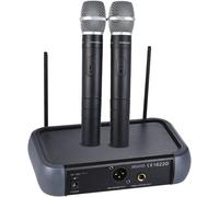 ASFASFq-Microphone sans Fil Système de mic VHF Double canal avec fonction d'écho 2 microphones et 1 récepteur Câble audio 6,35 mm pour karaoké Fête de famille Performance Présentation Public Address