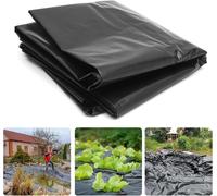 ASFASFq-PALUDO 2 x 10M Bâche Protection Serre en Polyéthylène, Extra Épais Film Bâche en Plastique Noir, Résistant Couverture de Polytunnel pour Protection Serre de Plante de Jardin (125Mu / 500G)