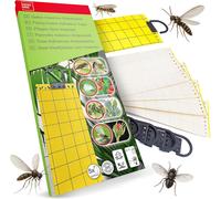ASFASFq-Panneau Jaune Collant Anti-Insectes ¿ Lot de 5 pièges à glu Jaunes en résine et Cire ¿ Efficace Contre Les Mouches, moustiques, pucerons et Insectes Volants