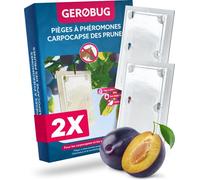ASFASFq-Piège à carpocapse des Prunes Piège à phéromone Bio 2 pièces - Design de Produit respectueux des Oiseaux, y Compris 2 Fils d'attache - Piège à carpocapse des Prunes avec Attractif