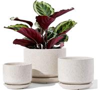 ASFASFq-Pot de Fleurs en Céramique, 11+13+17 cm, Lot de 3, Pot avec Trou de Drainage et Soucoupe, Pot d'Intérieur avec Tapis en Maille, Cadeau pour Maman/Mère, Beige