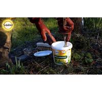 ASFASFq-Protection des Arbres Blanc Arboricole - Seau 3L - Barrière Physique Contre Les parasites, des Champignons, mousses - 6 à 9 Arbres SOBLANC3