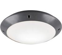 ASFASFq-Reality Leuchten Camaro Plafonnier d'extérieur, Anthracite, Durchmesser 26cm