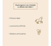 Asfasfq-Reine Des Prés - Complément Nutritionnel Cheval - Seau 800 G - Confort Articulaire - Locomotion Difficile Cheval - Marque Française