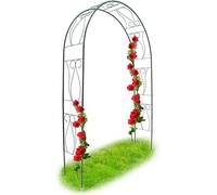 Asfasfq-Relaxdays 10018869 Arche À Rosiers Tuteur Roses Arche De Jardin Arceau Rosiers Support Plantes Grimpantes 233 X 153 X 39 Cm Vert 2,3 M