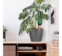 ASFASFq-relaxdays Cône d'arrosage en Argile, Lot de 4, pour Bouteilles en Pet de 1,5 Litre, HLP 15 x 5,5, x 5 cm, Terre Cuite