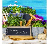 ASFASFq-relaxdays Seau métal en Lot de 5, Petit Pot à Fleurs Zinc pour Cuisine, Balcon et Jardin, avec Anse, décoration, argenté