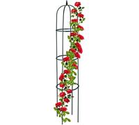 ASFASFq-Relaxdays Trellis obélisque, 188 m de Hauteur, pour Plantes grimpantes, en métal, Stable, Tour pour Rosier, Vert foncé
