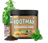 ASFASFq-RootMax - Champignons Mycorhiziens (200 g / 7,05 oz) Poudre d¿Enracinement pour Plantes, Arbres, Fleurs & Potager Inoculant Mycorhizien Puissant Traite 40+ Plantes