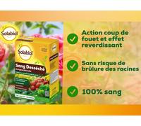 ASFASFq-Sang desséché 100% - 1,5 Kg - Engrais Action Coup de Fouet - Effet reverdissant - idéal pour Les massifs de Fleurs, Potager, Gazon, utilisable également pour activer Les composts SOSAN15G10N