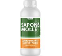 ASFASFq-Savon Potassique Pur Pour Plantes (1 LT) - Anti Acariens Anti Cochenille Anti Pucerons et Araigneé Rouge - Protection Naturelle du Jardin Contre Insectes et Parasites - Végétal et Écologique