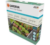 ASFASFq-Start Set for Raised Beds/Beds (35 Plants)