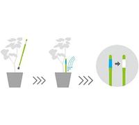 ASFASFq-SUStee Indicateur d'arrosage pour plantes (lot de 5, grand, noir) - Pour toutes les plantes, fonctionne dans tous les sols Design minimaliste, facile à utiliser, sans piles 100% Made in J