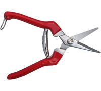 ASFASFq-TABOR TOOLS K77E Sécateur de précision, Lame INOX, Ciseaux de Jardin, Ciseaux de récolte pour Fruits, Fleurs coupées, Herbes, légumes hydroponiques et Raisins.
