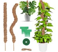 ASFASFq-talifoca 2PCS Tuteur Plante Pliable, 60 cm Long Plante Tuteur Coco Support pour Plante Grimpante, Grimpante Support pour Plante Monstera pour Maison Jardin De Plante