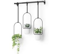 ASFASFq-Triflora Ensemble de 3 pots suspendus, Ajustable Jardinière d'intérieure Suspendue avec Rails, Blanc