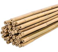 ASFASFq-Tuteur Bamboo 60 Cm Pack 25 Units Ø 6-8 Mm Tuteurs pour Plantes de Tomates, de Légumes et d'Arbres Piquets pour Plantes de Différentes Tailles. Tiges De Bambou Résistantes