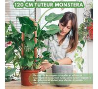 ASFASFq-Tuteur Monstera,120 cm Support Plantes Interieur,Tuteur Plante Pliable,Grimpante Support pour Plante,pour Soutenir Les Plantes grimpantes Lors de Leur Croissance vers Le Haut