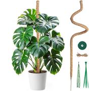 ASFASFq-Tuteur Plante Grimpante Coco sur Piquet de Plante 120cm, Support Tuteur de Coco Largeur de 7mm Pliable Poteau de Croissance de Grimpantes pour Monstera/Jardin Domestique