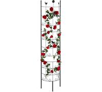 ASFASFq-tuteur Rosier grimpant, Semi-Circulaire, à Planter, Support pour Plantes grimpantes, Jardin, H 180 cm, Noir