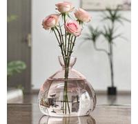 ASFASFq-Vase À Fleurs D'avocat en Verre, Kit De Croissance Hydroponique, Pot De Démarrage De Graines D'avocat, Culture D'avocat, Cadeau pour Les Amateurs De Jardinage, Décoration De Table (Poudre)