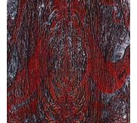 ASFAST - THE PRIME SAME VINYL LP NEUF