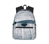 ASFgda Sac à dos classique basique de voyage, de hockey et de sport, sac à dos d'école, sac à dos imperméable et décontracté pour l'université, les voyages, le travail
