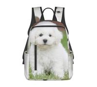 ASFgda Sac à dos décontracté imprimé chien bichon frisé pour homme et femme, durable, léger, bretelles ergonomiques