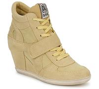 Ash Baskets montantes BOWIE in Jaune 41