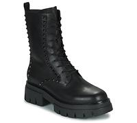 Ash Boots LIAM in Noir 41