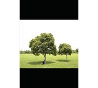ASH Holistic Nutrition & Lifestyle Alignment: The ASH Tree Doctrine for Edenic Living
