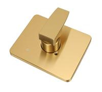 ASHATA Brushed Gold Shower Trim Handle Kit for R10000 13 14 Series