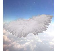 ASHATA Mini Plume Artificielle Aile D'ange Accessoires de Photographie de nouveau-né Mignons pour les Décorations de Noël D'Halloween, Carton + Plume Artificielle, Noir, Blanc, 20x10 Cm (WHITE)