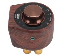 ASHATA Petit Amplificateur Bluetooth 5.0 avec Puissance de Sortie élevée pour Un Son de Musique HiFi Riche pour Téléphones Mobiles et Tablettes, Matériau Métallique