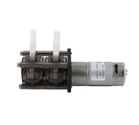 ASHATA Pompe Péristaltique à Moteur brossé DC, Pompe Doseuse de Liquide à Haut Débit pour L'industrie des Laboratoires 300 Ml/min X 2 en Acier Inoxydable (24V)