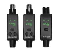 ASHATA Système de Microphone sans Fil 2,4 GHz, émetteur et Récepteur XLR, Adaptateur de Micro sans Fil Rechargeable 24 Bits 48 KHz pour Mélangeur de Son, Système PA, Caméra (1 pour 2)