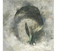 Ashes – CD – Integral
