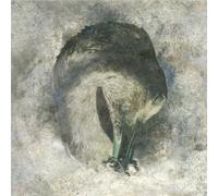 Ashes CD