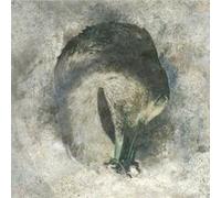 Ashes – CD – Integral