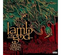 Ashes of The Wake CD