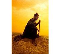 Ashes Of Time Redux G
