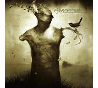 Ashes to Embers