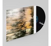 Ashes To Gold Vinyle