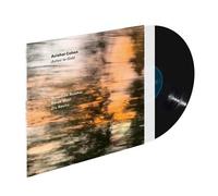 Ashes To Gold Vinyle
