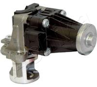 ASHIKA 150-00-0308 Vanne EGR pour CITROËN,FORD,PEUGEOT,VOLVO
