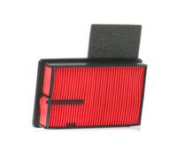 ASHIKA 20-00-MC02 Filtre à air