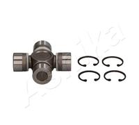 ASHIKA 66-01-109 Joint, arbre de transmission pour NISSAN